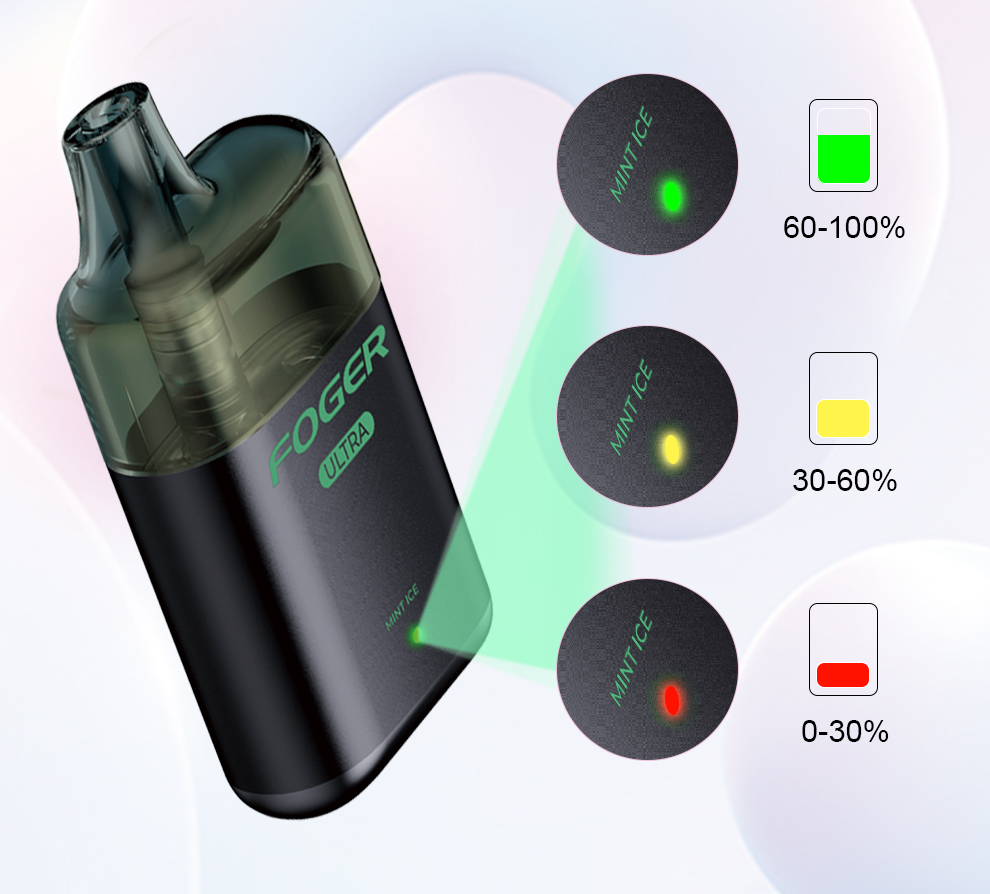 1-5 Details Battery Indicator.jpg